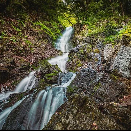 Suncani Vrhovi Gasthof Kopaonik