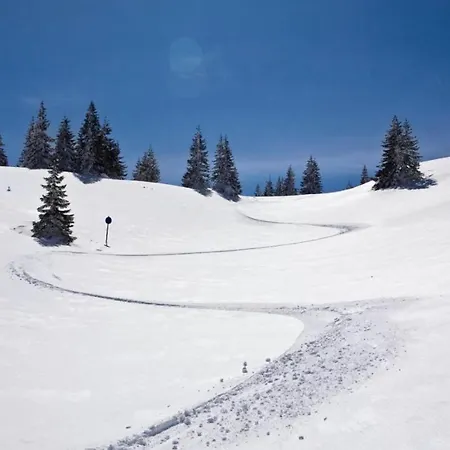 Gasthof Suncani Vrhovi Kopaonik
