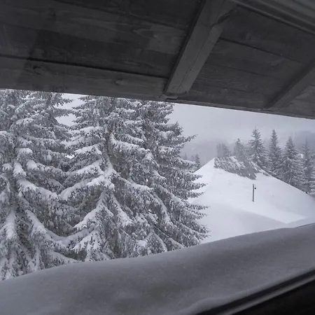 Suncani Vrhovi Kopaonik