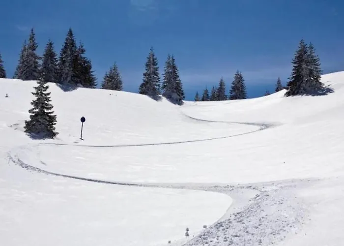 Гостевой дом Suncani Vrhovi Копаоник