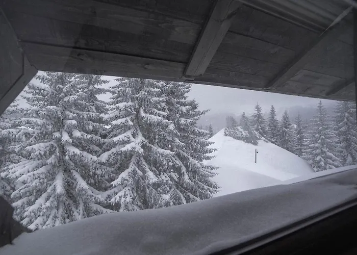 Suncani Vrhovi Копаоник