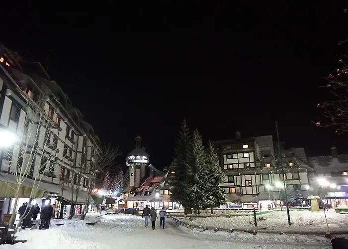 Suncani Vrhovi Гостевой дом Копаоник